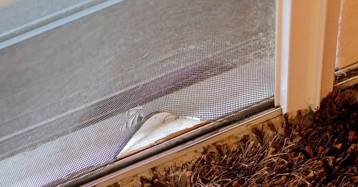 Signs It's Time For Window Screen Replacement