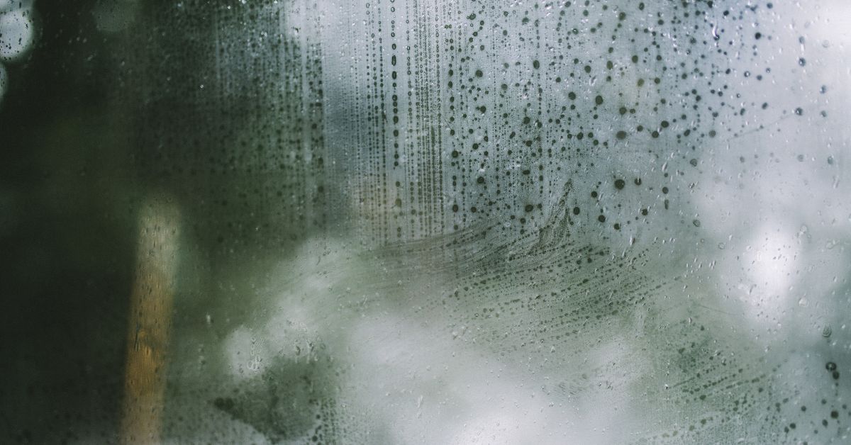 Signs Your Windows Aren't Properly Sealed