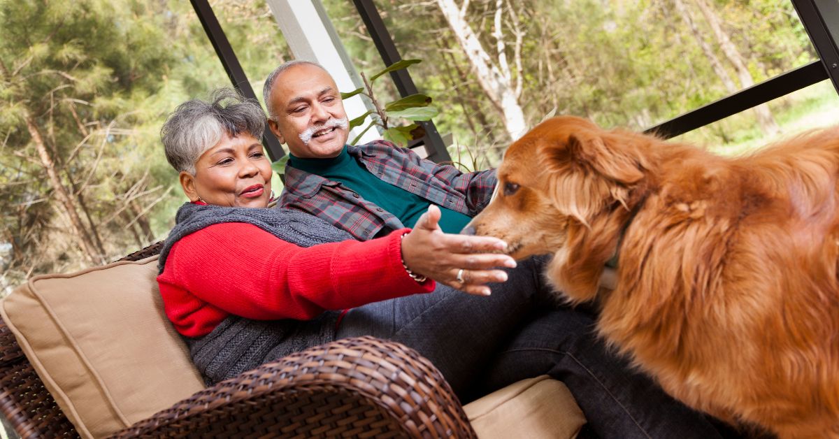 How To Pet-Proof Your Screened Porch