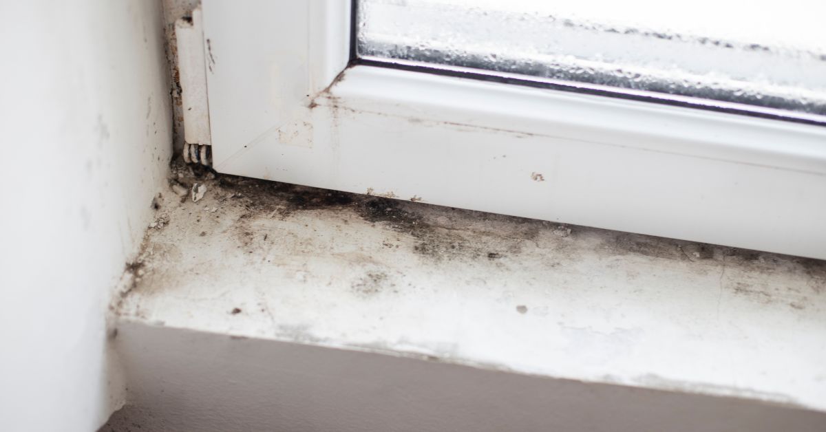 Protect Your Home From Mold and Moisture With Vinyl Window Replacement