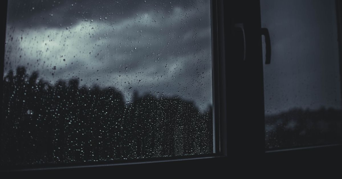 What Are Storm Windows and Doors?