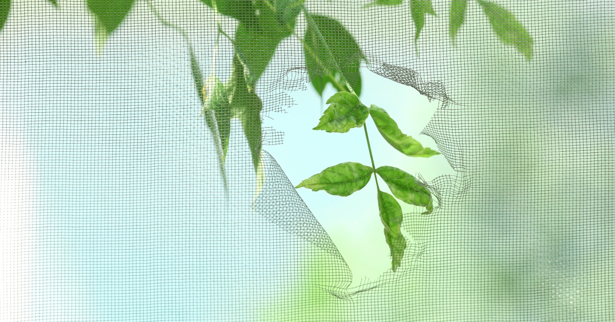 Are Your Window Screens Restricting Airflow?