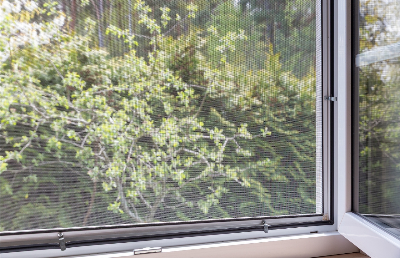 How Window Screens Protect Your Windows Over Time