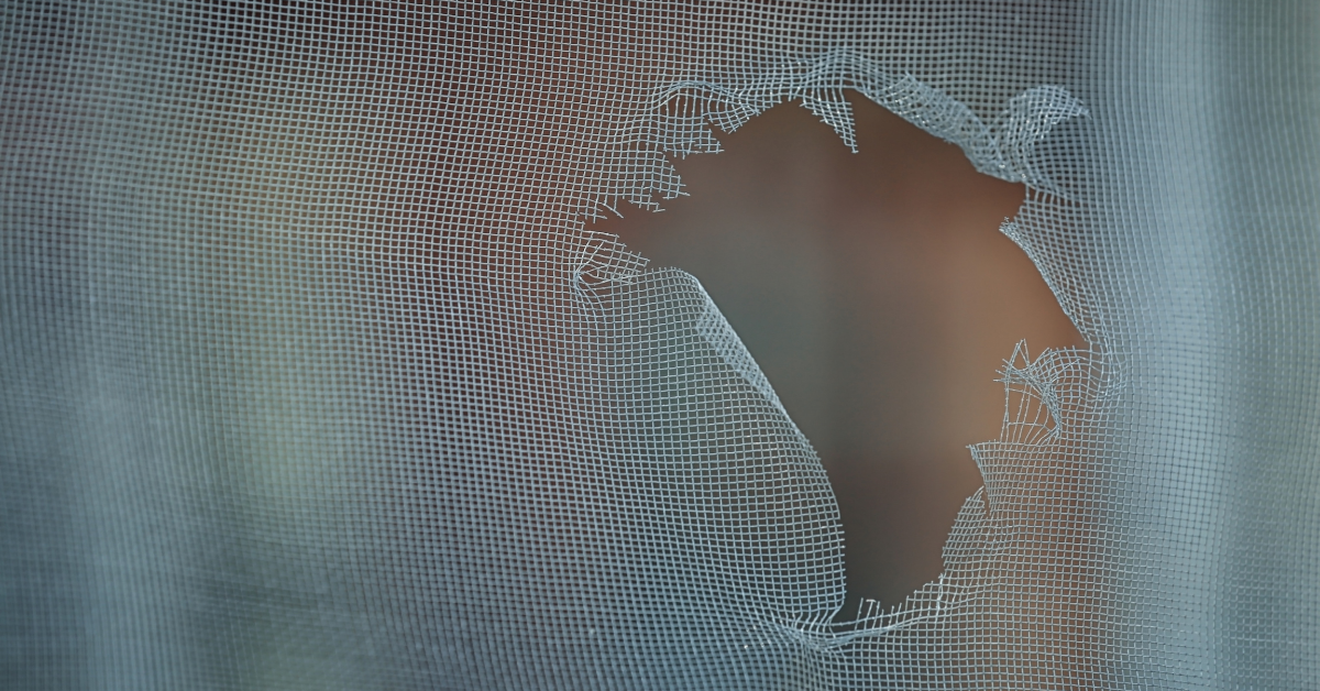 Window Screen Material Affects More Than Durability