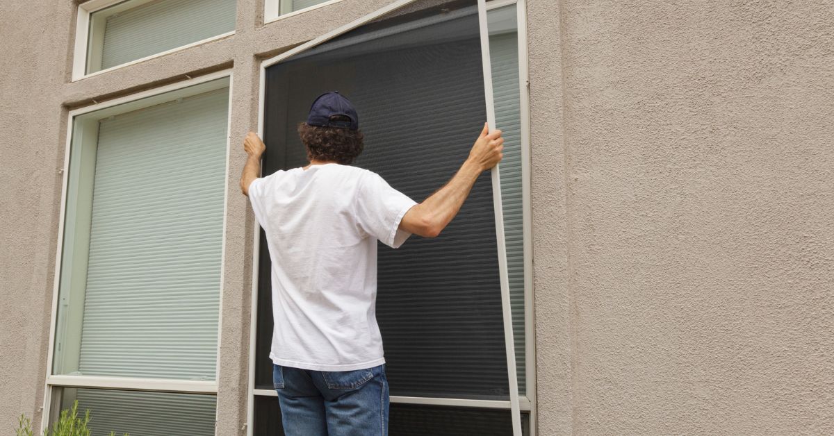 Don’t Overlook Your Window Screens This Fall & Winter